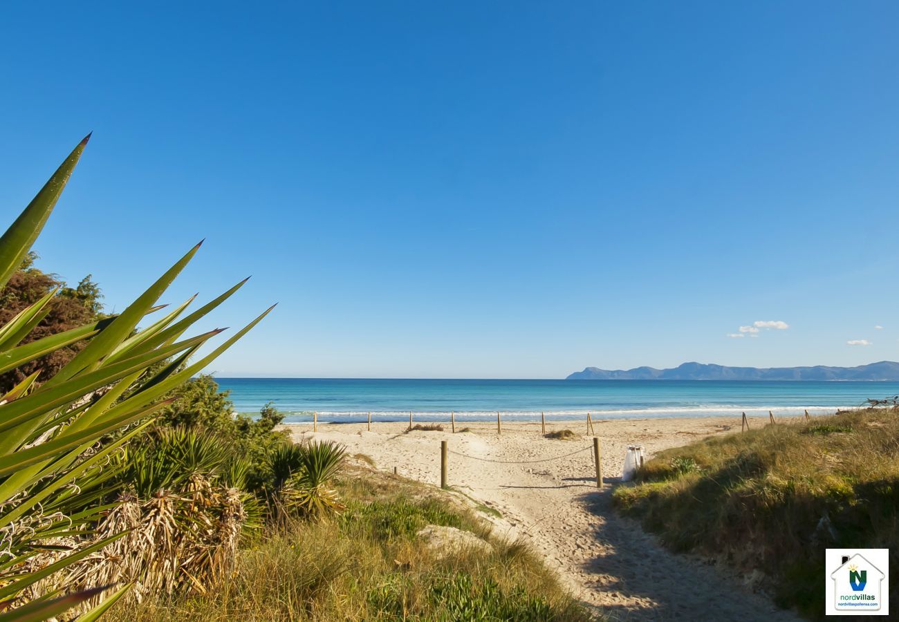 Ferienwohnung in Port de Pollença - Duplex La Nau B Ferienwohnung in Port de Pollença - Duplex La Nau B