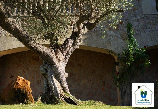 Finca en Pollensa / Pollença - CAN LLOP ref. VP94 Finca en Pollensa / Pollença - CAN LLOP ref. VP94