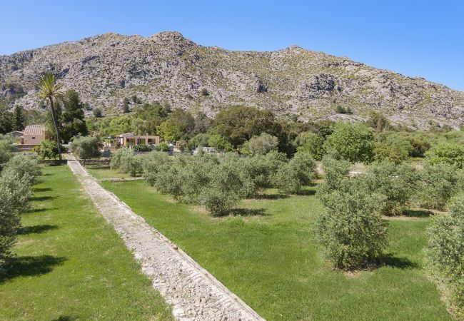 Villa i Pollensa / Pollença - CAN NICO ref. VP92 Villa i Pollensa / Pollença - CAN NICO ref. VP92