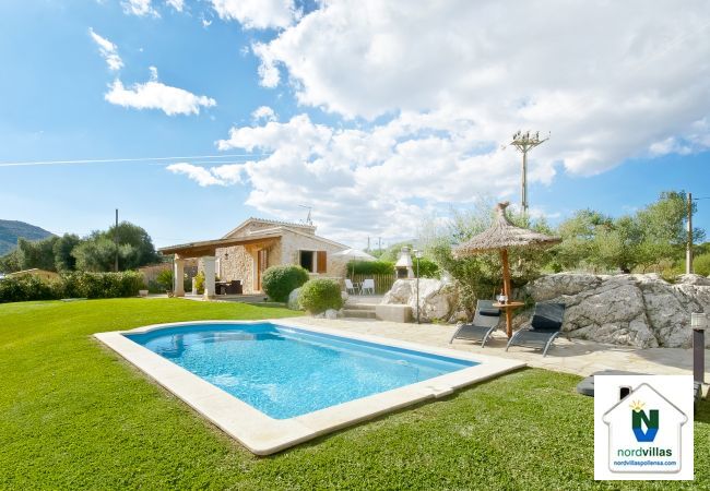 Pool and green garden Pool and green garden