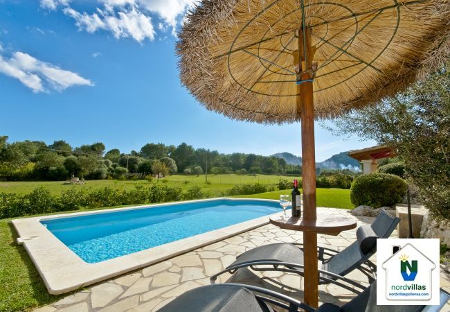 Sun loungers and parasols by the pool Sun loungers and parasols by the pool