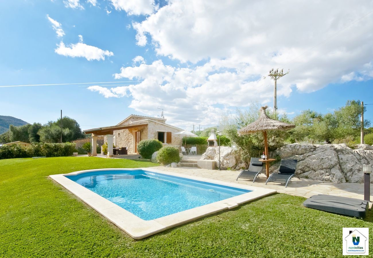 Pool and green garden Pool and green garden