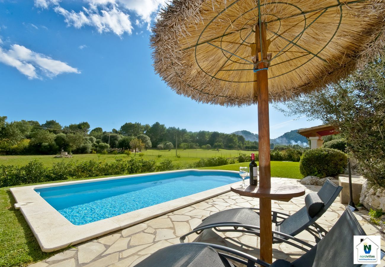 Sun loungers and parasols by the pool Sun loungers and parasols by the pool
